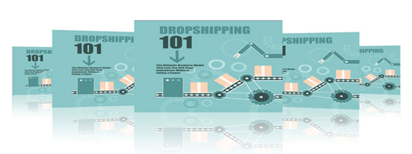 dropshipping success videos