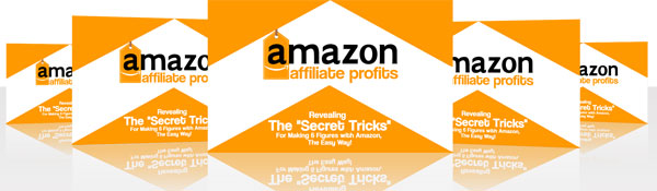 amazon affiliate profits videos